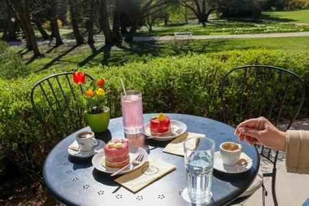 Spomladanska razstava cvetja in tulipanov(7)
